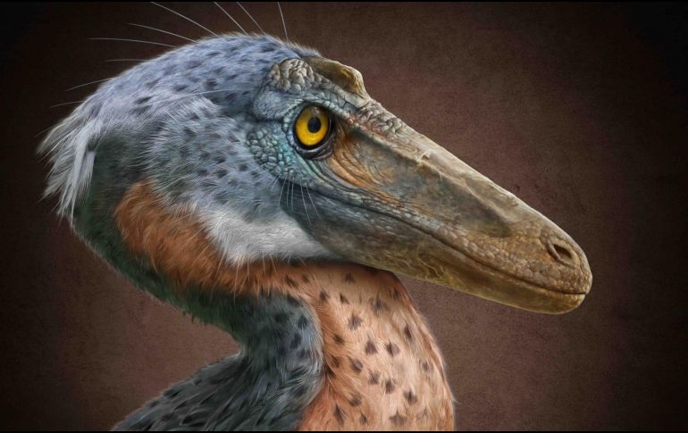 El nombre Xenovenator espinosai hace referencia a su carácter inusual (