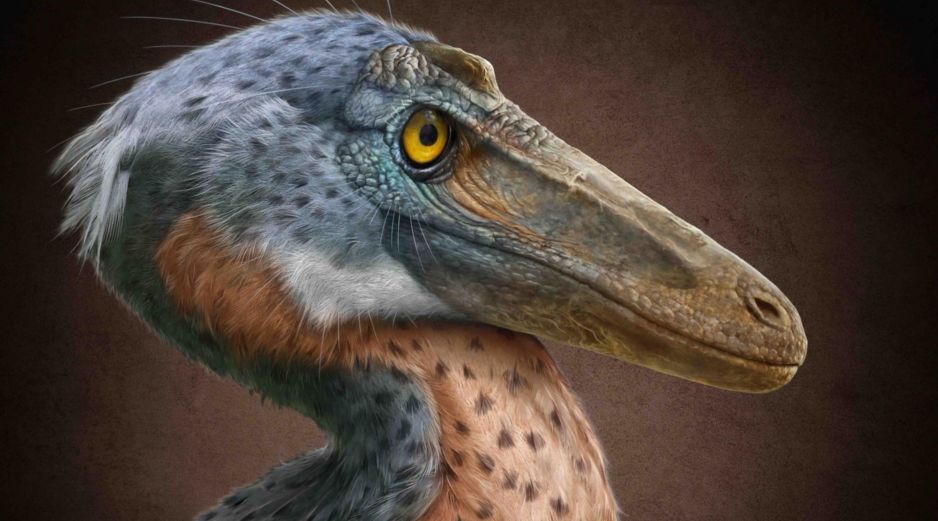 El nombre Xenovenator espinosai hace referencia a su carácter inusual (