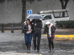 ¿Cuándo llega el frente frío 29 y a qué estados afectará? SUN / ARCHIVO