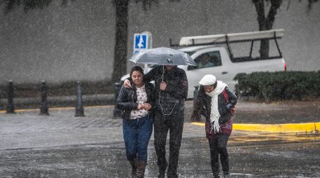 ¿Cuándo llega el frente frío 29 y a qué estados afectará? SUN / ARCHIVO