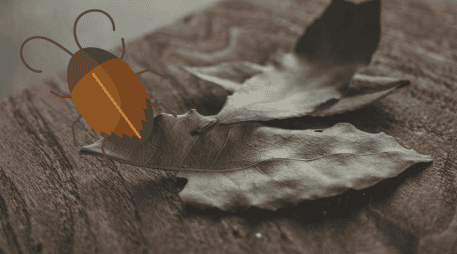 Una planta aromática con compuestos volátiles que ha sido analizada por su posible efecto repelente de insectos y que, además, ocupa un lugar importante en prácticas tradicionales como el Feng Shui. ESPECIAL/ Unsplash