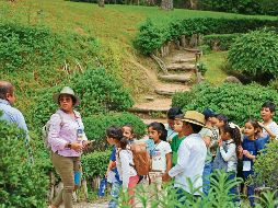 A lo largo de 2025, 6.8 millones de personas acudieron a los bosques urbanos de la ZMG. ESPECIAL