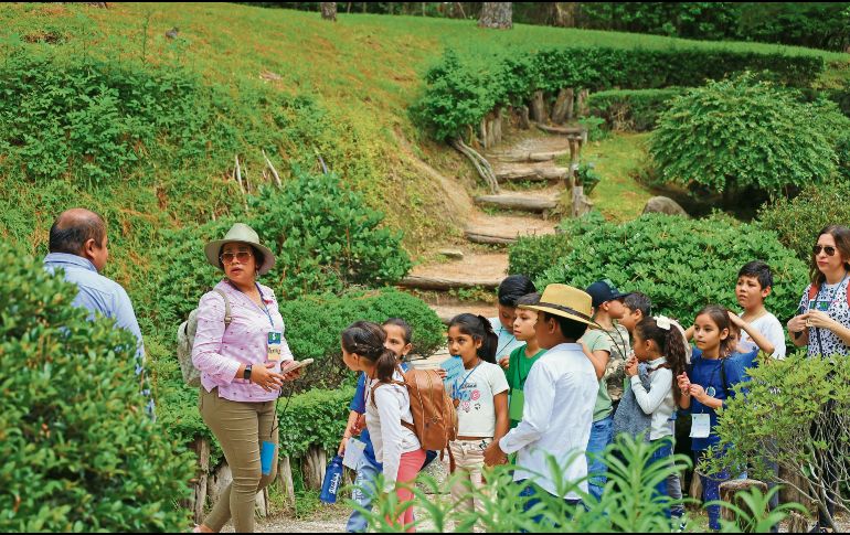 A lo largo de 2025, 6.8 millones de personas acudieron a los bosques urbanos de la ZMG. ESPECIAL
