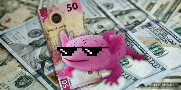 D&oacute;lar HOY: Superpeso apalea al billete verde y toca su mejor nivel en a&ntilde;o y medio