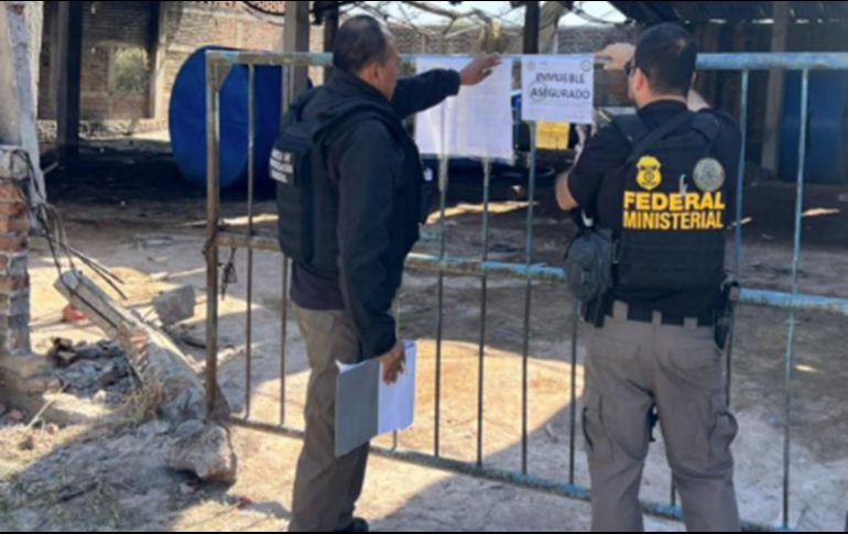 Las acciones se llevaron a cabo en los municipios de Tlajomulco de Zúñiga, Degollado y Zapotlanejo. ESPECIAL