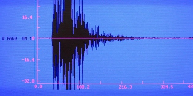 Sismo en Guerrero se percibe con intensidad en parte de M&eacute;xico