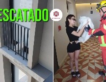 La mascota fue entregada a su dueña sana y salva. ESPECIAL / FACEBOOK Protección Civil y Bomberos GDL