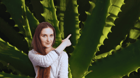 El aloe vera no debe ser utilizada de manera crónica ya que podría ocasionar la perdida de potasio o un cuadro de deshidratación. ESPECIAL / CANVA