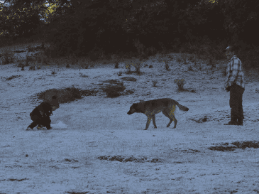 Se espera la caída de nieve o aguanieve en las cimas de varias montañas de México. SUN/ARCHIVO