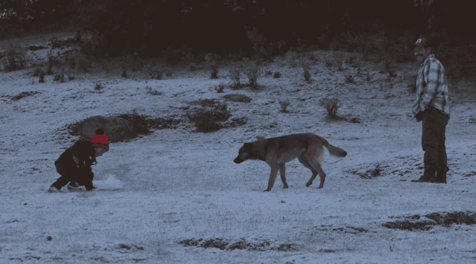 Se espera la caída de nieve o aguanieve en las cimas de varias montañas de México. SUN/ARCHIVO