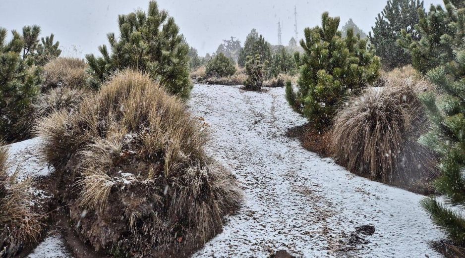 La espera terminó ayer, 16 de enero, cuando se registró la primera nevada del año en la cima del Nevado de Colima. ESPECIAL / Secretaría de Medio Ambiente y Desarrollo Territorial