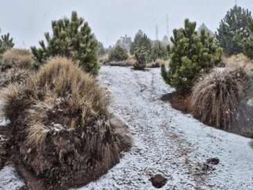 La espera terminó ayer, 16 de enero, cuando se registró la primera nevada del año en la cima del Nevado de Colima. ESPECIAL / Secretaría de Medio Ambiente y Desarrollo Territorial