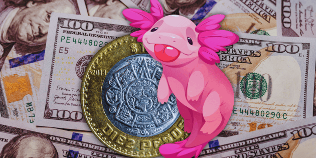 D&oacute;lar HOY: Superpeso imparable; as&iacute; cerr&oacute; la semana y esta es su previsi&oacute;n para la pr&oacute;xima semana