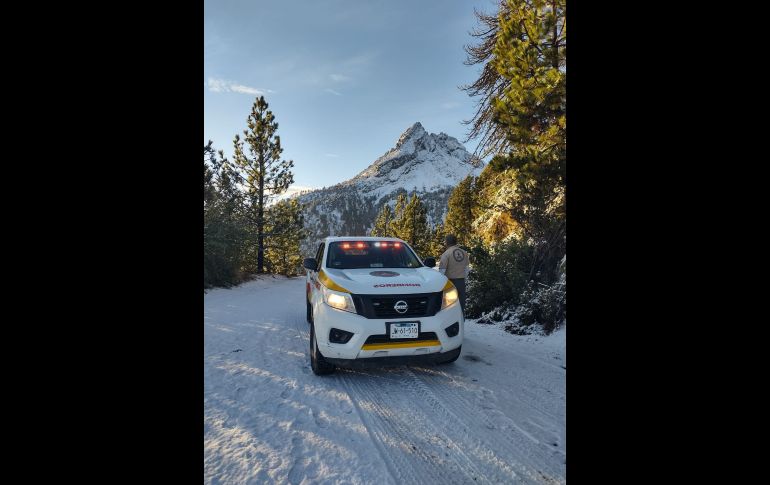 ESPECIAL / Protección Civil Jalisco