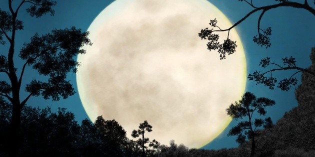 Luna de Nieve 2026: Fecha, hora y recomendaciones para observarla