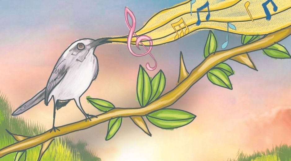 Registrar aves en una ciudad como Guadalajara es reconocer que la naturaleza no está afuera, sino entre nosotros. CORTESÍA/Valeria Berrueco