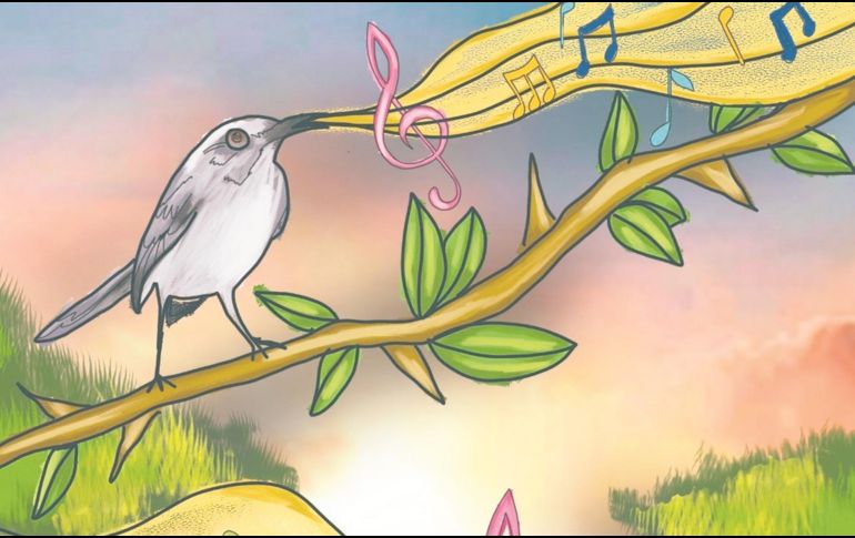 Registrar aves en una ciudad como Guadalajara es reconocer que la naturaleza no está afuera, sino entre nosotros. CORTESÍA/Valeria Berrueco