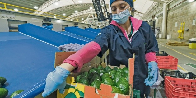 T-MEC: Cinco de cada diez empresas ven condiciones para invertir