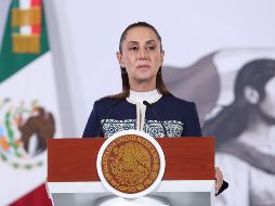 La Presidenta subrayó que este tipo de operaciones no son extraordinarias y que ya se han realizado en otras ocasiones. EFE/M. Guzmán