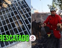 Bomberos de Zapopan lograron el rescate y dejaron al perro en libertad. ESPECIAL / FACEBOOK Protección Civil y Bomberos Zapopan