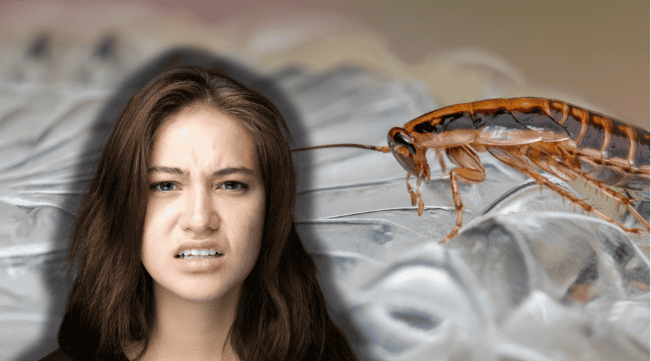 Existe un truco definitivo para eliminar las cucarachas del hogar de forma eficaz, con el que evitarás tener que desembolsar tanto dinero. ESPECIAL/Canva/Unplash