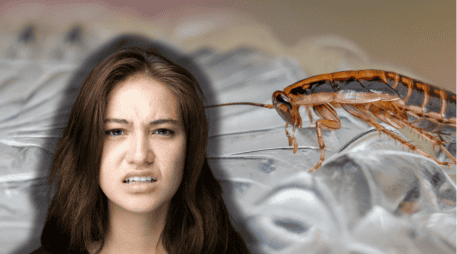 Existe un truco definitivo para eliminar las cucarachas del hogar de forma eficaz, con el que evitarás tener que desembolsar tanto dinero. ESPECIAL/Canva/Unplash