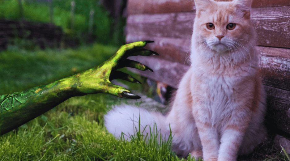 La panleucopenia felina, también conocida como enteritis infecciosa felina, es una enfermedad viral causada por un parvovirus genéticamente similar al parvovirus canino. ESPECIAL / CANVA