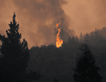 Los megaincendios originados el sábado pasado han destruido más de 30 mil hectáreas al sur de Santiago, en Chile. EFE/ Adriana Thomasa