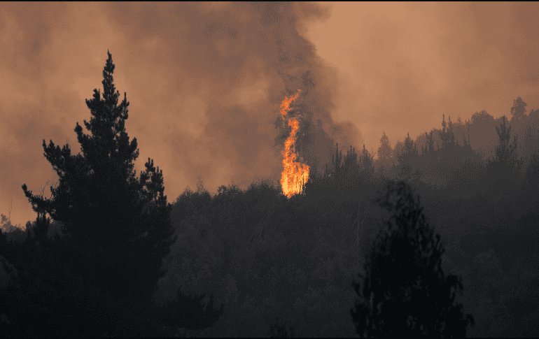 Los megaincendios originados el sábado pasado han destruido más de 30 mil hectáreas al sur de Santiago, en Chile. EFE/ Adriana Thomasa