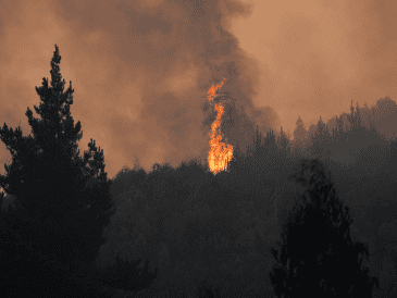 Los megaincendios originados el sábado pasado han destruido más de 30 mil hectáreas al sur de Santiago, en Chile. EFE/ Adriana Thomasa