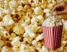 Las palomitas de maíz pueden apoyar la digestión y favorecer el tránsito intestinal, siempre que se preparen de forma sencilla y sin exceso de grasas o sodio. ESPECIAL / CANVA