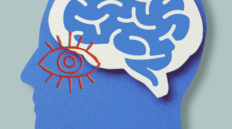 El estudio refuerza la hipótesis de que la retina podría utilizarse como una ventana accesible para detectar procesos neurodegenerativos. ESPECIAL