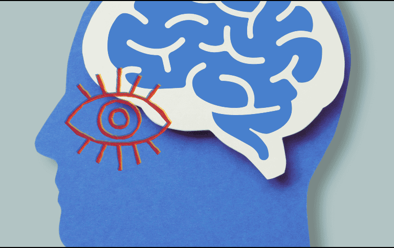 El estudio refuerza la hipótesis de que la retina podría utilizarse como una ventana accesible para detectar procesos neurodegenerativos. ESPECIAL