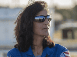 Además de su experiencia en vuelos espaciales Williams desempeñó numerosos cargos a lo largo de su carrera en la agencia espacial. NASA