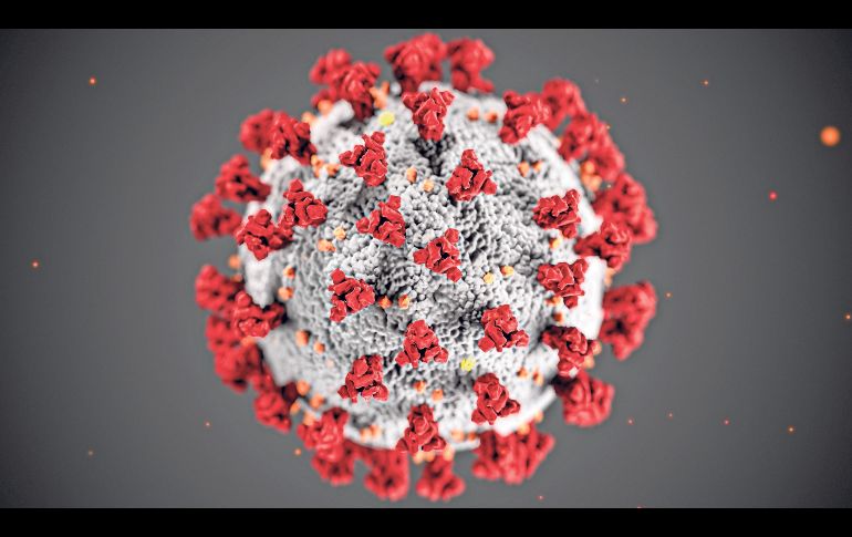 Hasta el 14 de enero de 2026 se habían registrado en México seis mil 819 casos confirmados de sarampión. EFE / ARCHIVO