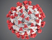 Hasta el 14 de enero de 2026 se habían registrado en México seis mil 819 casos confirmados de sarampión. EFE / ARCHIVO