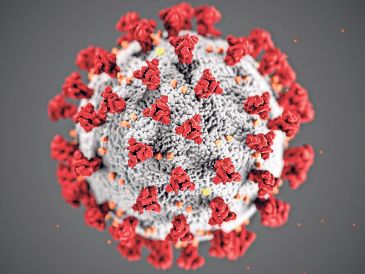 Hasta el 14 de enero de 2026 se habían registrado en México seis mil 819 casos confirmados de sarampión. EFE / ARCHIVO