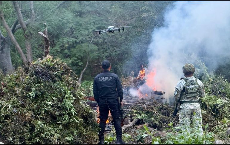En diciembre pasado, autoridades localizaron cerca de 80 kilos de marihuana sobre la carretera Guadalajara - Tepic, en el municipio de Hostotipaquillo. ESPECIAL/Policía del Estado