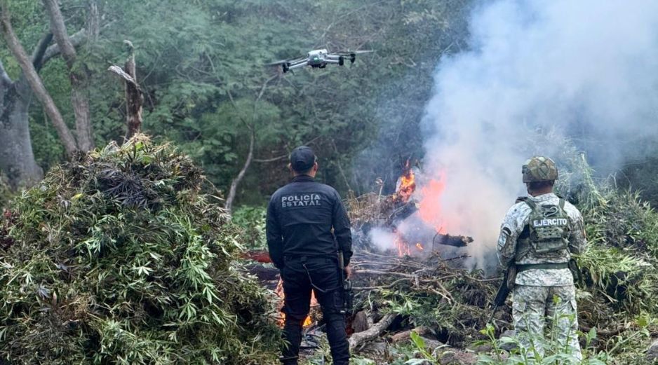 En diciembre pasado, autoridades localizaron cerca de 80 kilos de marihuana sobre la carretera Guadalajara - Tepic, en el municipio de Hostotipaquillo. ESPECIAL/Policía del Estado
