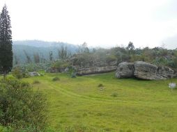 Los resultados del análisis sugieren que T.pallidum es anterior al auge de la agricultura en América. EFE / Fotografía facilitada por Angélica Triana