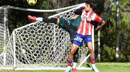 Se desempeña como delantero y ha destacado desde temprana edad por su olfato goleador y su capacidad para generar peligro constante en el área rival. IMAGO7