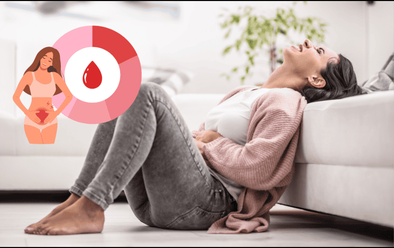 Las principales hormonas que regulan el ciclo menstrual, el estrógeno y la progesterona, tienen un impacto directo en el sistema nervioso. CANVA