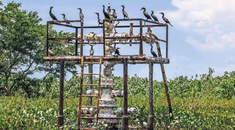 Los autores del estudio auguran una caída de GNL del 1% en Sudamérica y en Centroamérica. SUN/ARCHIVO