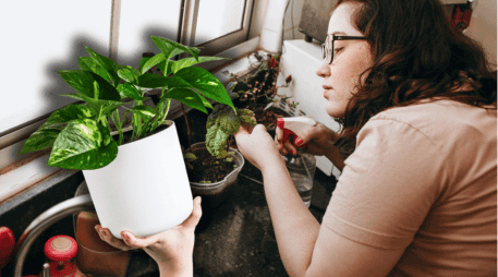 Aquí te traemos cinco plantas de poco mantenimiento que pueden ir al interior de casa. ESPECIAL/Unplash/Canva