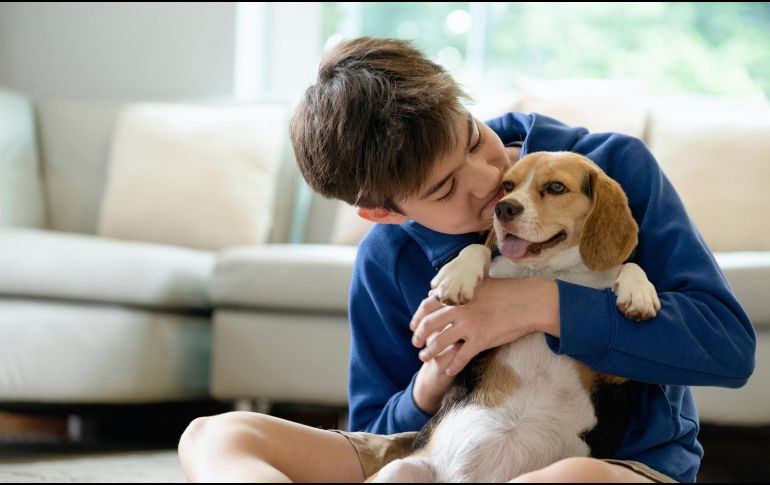 El Beagle es una excelente opción para casas con niños pequeños. ESPECIAL / CANVA