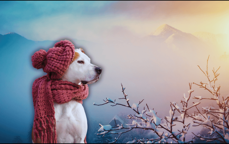 Se prevé que el frente frío núm. 31 se disipe en el transcurso de la tarde.  ESPECIAL / CANVA