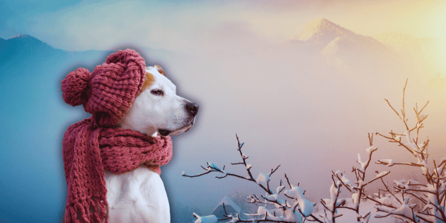 Clima HOY: Pega fuerte el fr&iacute;o en M&eacute;xico este s&aacute;bado por tercera tormenta invernal de la temporada