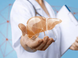 La ciencia indica que el hígado puede mostrar mejoras en un mes si el daño es leve y se adoptan cambios adecuados, pero no siempre es correcto hablar de una curación total en ese periodo. CANVA