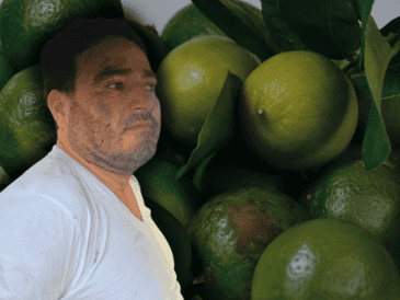 "El Botox" fue detenido el jueves durante un operativo del Ejército, Guardia Nacional, Secretaría de Seguridad y Protección Ciudadana y la Fiscalía General del Estado de Michoacán. ESPECIAL