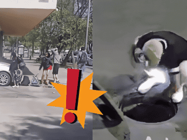 Alcantarillas de Guadalajara: lo que hay detrás de los videos donde entran y salen personas de estas. ESPECIAL / X 